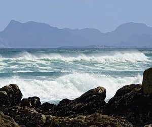 Wonders of Nature - Gansbaai Weekly Inspiration